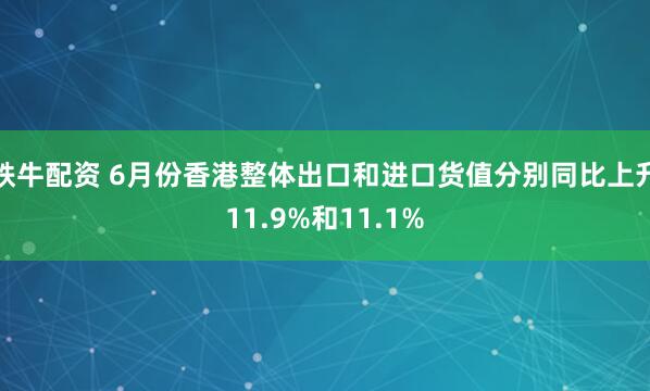 铁牛配资 6月份香港整体出口和进口货值分别同比上升11.9%和11.1%