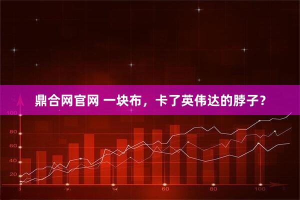 鼎合网官网 一块布，卡了英伟达的脖子？