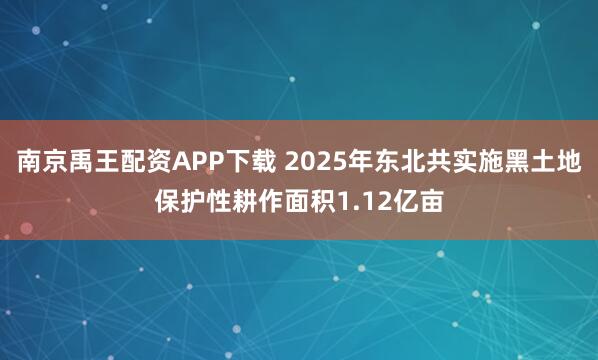 南京禹王配资APP下载 2025年东北共实施黑土地保护性耕作面积1.12亿亩